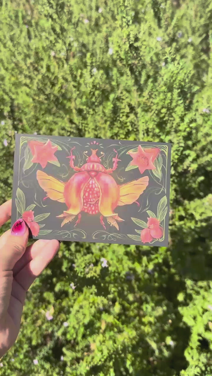 Pomegranate BugFruit Mini Print