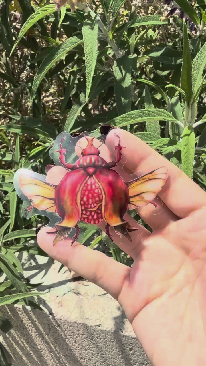 Pomegranate BugFruit